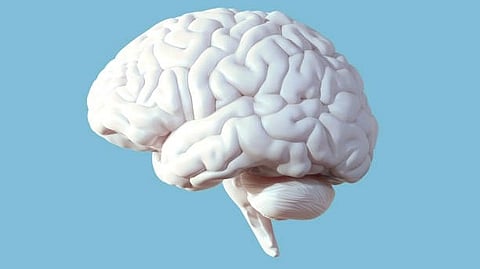 X-linked adrenoleukodystrophy (X-ALD) is the most common of a group of around 50 rare diseases of the white matter of the brain, the so-called leukodystrophies. The genetic damage in X-ALD is due to a defect in the X chromosome.