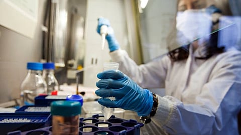 A new study led by Cedars-Sinai and the University of California, San Francisco (UCSF), has determined that altering a cellular process can lead stem cells—cells from which other cells in the body develop—to die or regenerate(Unsplash)