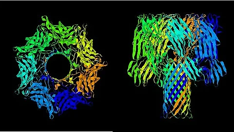 Probing the tau and tubulin protein molecules behind Alzheimer's and Parkinson's. (WIKIMEDIA COMMONS)