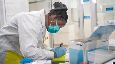 The world has never had access to the kind of real-time information for these viruses that scientists obtained on SARS-CoV-2 through sequencing millions of genomes.