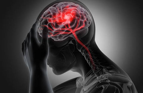 Cooling brain tumor cells to stop them from dividing without killing healthy cells extended the survival of glioblastoma (GBM) animal models dramatically in a study led by a UT Southwestern resident(Unsplash)