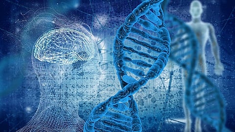 Humans and chimpanzees differ in only one percent of their DNA. Human accelerated regions (HARs) are parts of the genome with an unexpected amount of these differences(Unsplash)