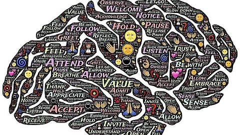 Memory is one of the most fundamental functions of the brain, enabling people to learn from experience and remember the past.