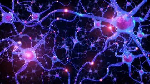 Learning how certain brain neurons sense and react to variations in blood-sugar levels might lead to better diabetes treatments (Unsplash)