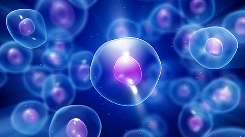 Beyond the average cell.Molecular biologists want to know what’s really happening inside individual living cells, not just how the mythical 'average' cell lives(Unsplash)