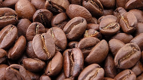 Roasted coffee beans. Wikimedia Commons