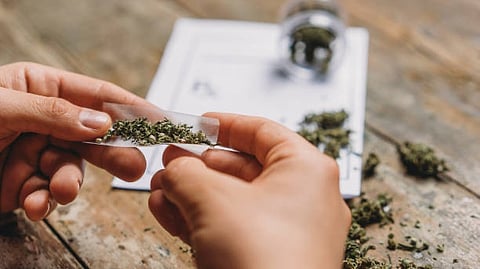 The significant increase is particularly troublesome to geriatricians, given that older adults are at a higher risk for adverse health effects associated with psychoactive substances, including cannabis.