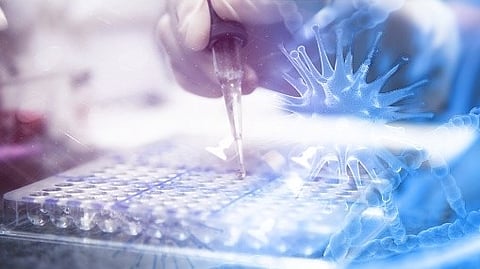 OGT is an enzyme called a transferase. This type of enzyme carries out a job called glycosylation, where sugar molecules are added to recently synthesized proteins.