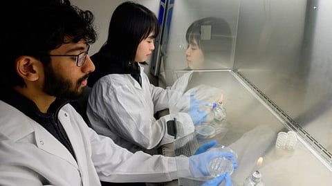 Researchers in the lab of Rice’s Xue Sherry Gao discovered a new class of Diels-Alderases.