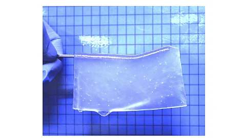 Photograph of the semitransparent hydrogel used in the study.