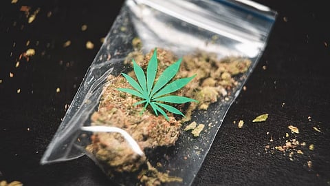 Between 2016 and 2018, more than 22 percent of Massachusetts residents reported any prior cannabis use for medical or recreational reasons.