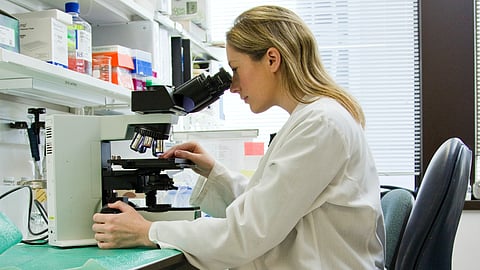 T-cells that are part of our immune system are central in the protection against infections and cancer.