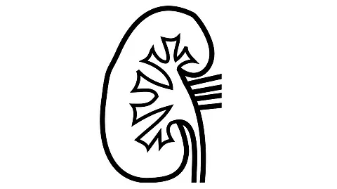 A decade-long international study into kidney cancer has shown that doctors can predict the likelihood of a patient’s disease returning by looking at DNA mutations in their tumours.