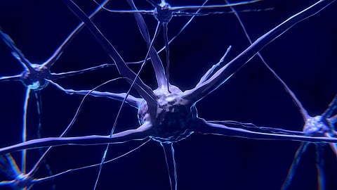 Location is the key for psychedelic drugs that could treat mental illness by rapidly rebuilding connections between nerve cells.