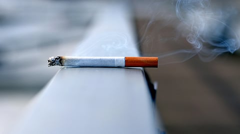 Benzo(a)pyrene (BaP), a compound found in cigarette and industrial smoke is known to damage DNA.