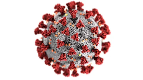University of Sydney scientists have discovered a protein in the lung that blocks SARS-CoV-2 infection and forms a natural protective barrier in the human body.