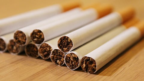 As the products go through the Food and Drug Administration’s premarket authorization process, “disposable e-cigarettes and nicotine pouches will soon become subject to more regulation,” said Cristine Delnevo.