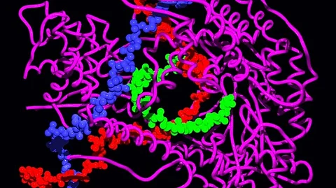 The research groups have developed a novel technique that is able to detect a characteristic structure of RNA in real time in live cells.