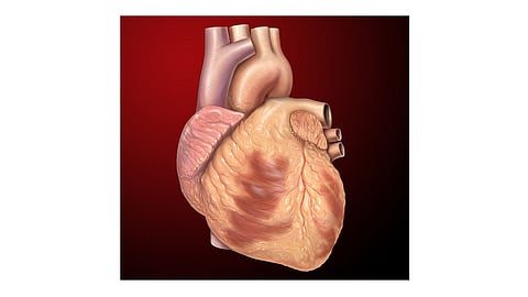 A 70-year-old woman got a new lease of life after the world's smallest pump -- 'Impella' -- was used to support her heart pumping mechanism while removing her heart veins blockage at a hospital in Punjab.
