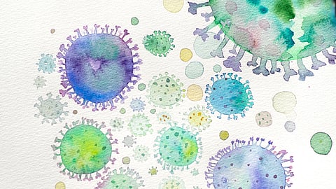 The Resistant Bacteria case for the majority of the population severe cases may require antibiotics, which kills the bacteria.