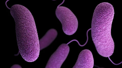 A new study from the Chen lab published in Nature reports a novel mechanism bacteria use to enhance the effectiveness of the cGAS-mediated immune response.