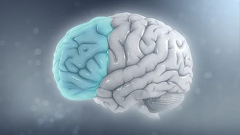 Brain changes as we get older It is not just that important parts of the brain decrease in size the way in which different parts of the brain communicate with each other also changes.