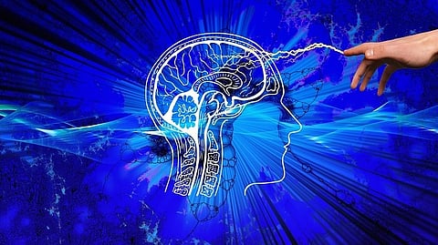 Humans have unusually big brains and model an unusually large amount of the world.