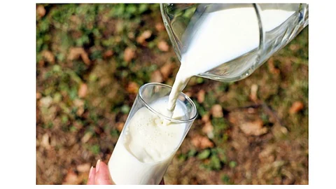 Some people believe plant-based and dairy milks are nutritionally similar, but that is not the case, says Melissa Wright, director of the Food Producer Technical Assistant Network at Virginia Tech.