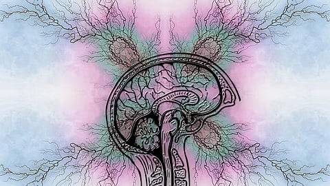 Seizures can be controlled with medication in the majority of cases.