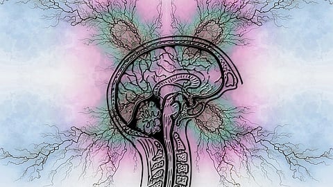 Cancers and cerebrovascular disease are mostly presumed to be underlying causes of epilepsy