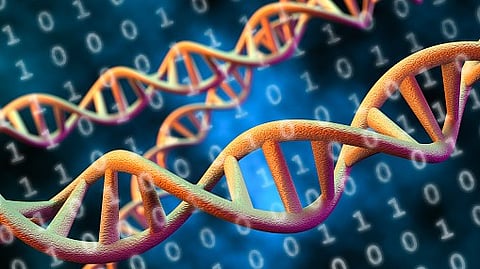 Bioinformatics, due to its interdisciplinary nature, has been profoundly impacted by advances in life sciences and technology.