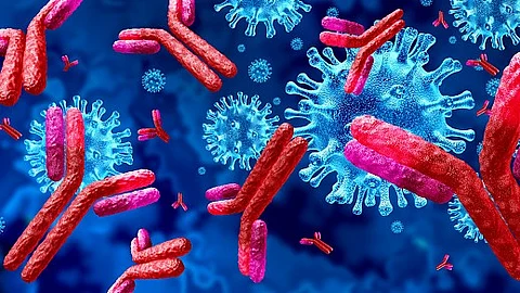 Johns Hopkins Medicine study adds to evidence that T cell-driven changes in the gut may affect brain function associated with depressive symptoms.
