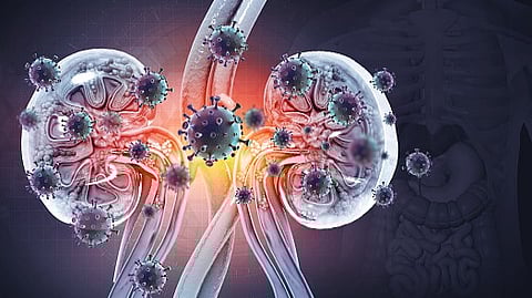 Metabolic changes related to NAD may offer a new therapeutic target to improve the course of kidney disease.