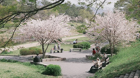 In an analysis of more than 415,00 electronic health records of healthy, full-term births in Southern California, a team of researchers determined that exposure to green space and tree coverage was associated with a decreased risk of postpartum depression among mothers.