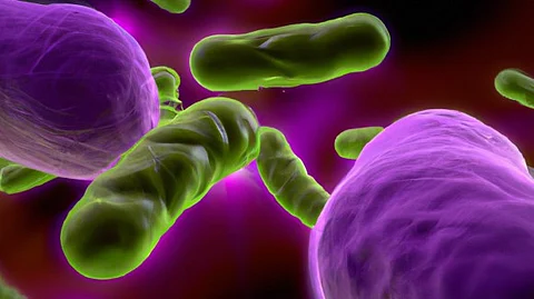 Artistic representation of bacteria and cancer cells (not to scale).