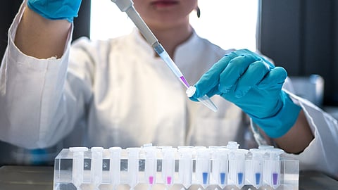 Scientists at St. Jude Children’s Research Hospital have demonstrated how drug makers can avoid two key problems: toxicity and resistance.