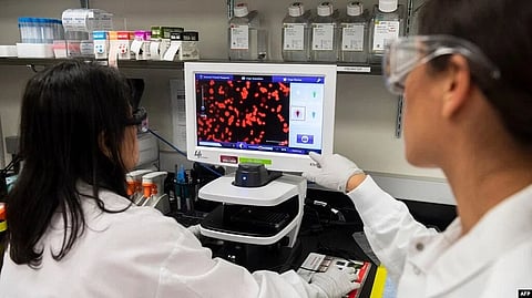 The researchers showed that, iand promoted that of Treg cells, which can ameliorate them.