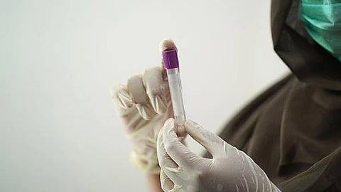 De novo proteins in the lab experiments displayed on average a slightly higher solubility, based on the so-called secondary structure.