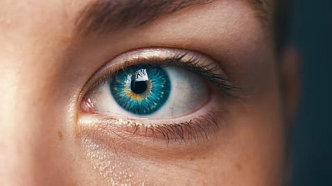 The app also uses trained models to diagnose eye conditions like Melanoma, Cataracts, and Pterygium.
