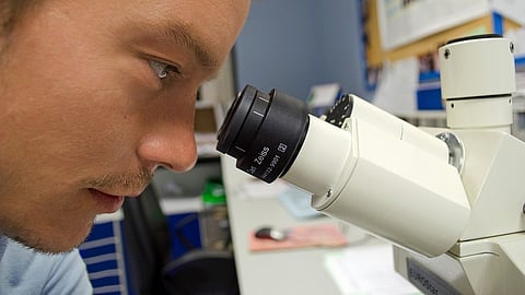 Using an electron microscope, scientists can observe cellular structures at an incredibly detailed level, with resolution reaching sub-nanometer ranges