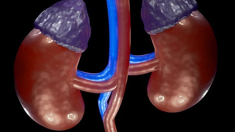 According to the complaint, the fake website "tells" people to contact them if they want to sell a kidney