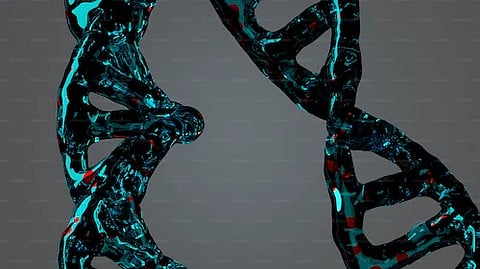 The team found that PRC2.1 and PRC2.2 recruit different forms of the PRC1 complex to DNA, thereby finally explaining why two versions are needed.