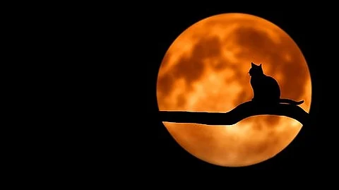 High-risk patients should possibly be followed more closely the week of the full moon, during late afternoons and perhaps the month of September