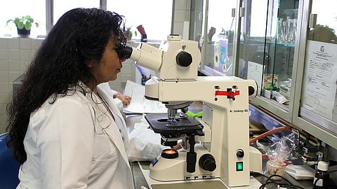 Cell therapy clinical trials increased across the board, especially with more novel approaches