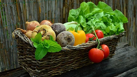 Organisms respond to food shortages can affect the quality of eggs and sperm, and such effects could potentially continue after the end of the fasting period.