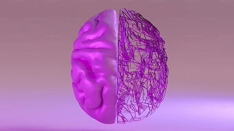 Damage to the brain is especially pernicious because it is the master control panel for the body, and pollution damage can cause a range of neuropsychiatric disorders