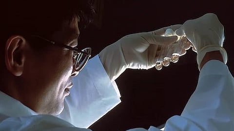 Hopeaphenol is well tolerated in animal models, and because it can be derived from a variety of plants, its isolation can be scaled up easily.