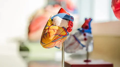 Patients with autoimmune diseases have long been known to develop, among other problems, cardiovascular events such as heart attacks and strokes