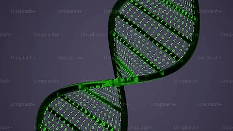 Roughly 20,000 genes are present in the human genome, which encode the blueprint for synthesizing all the body's proteins.