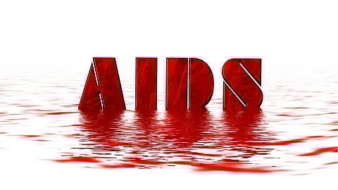 HIV (Human Immunodeficiency Virus) is a virus that causes AIDS also known as acquired immunodeficiency syndrome and is one of the largest epidemics in the world to date. (Pixabay)